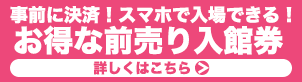 事前に決済！スマホで入場できる！お得な前売り入場券